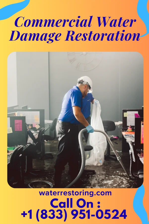Commercial Water Damage Restoration in Scotland, GA