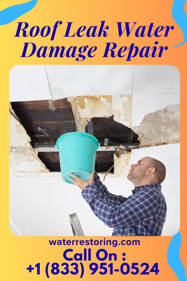 Roof Leak Water Damage Repair in Scotland, GA